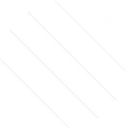custom_website